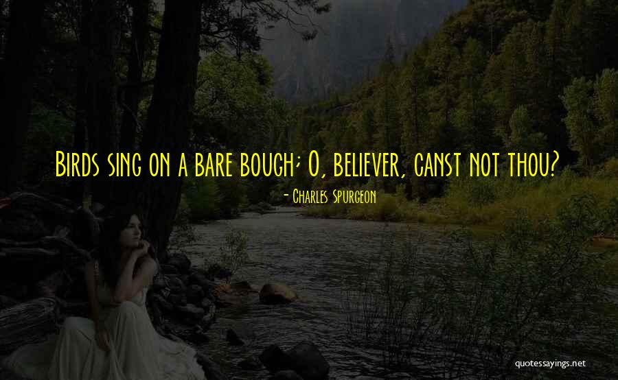 Pecheur Dofus Quotes By Charles Spurgeon Pecheur Dofus Quotes By Charles Spurgeon
