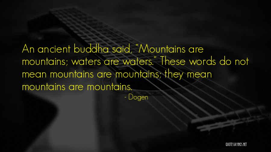 Pecina Vjetrenica Quotes By Dogen Pecina Vjetrenica Quotes By Dogen