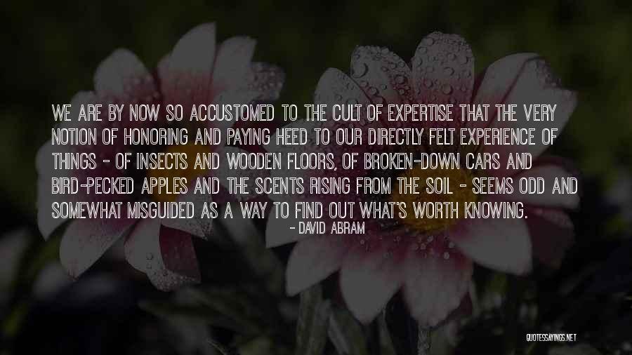 Pecked Quotes By David Abram Pecked Quotes By David Abram