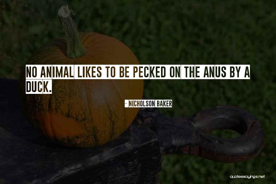 Pecked Quotes By Nicholson Baker Pecked Quotes By Nicholson Baker