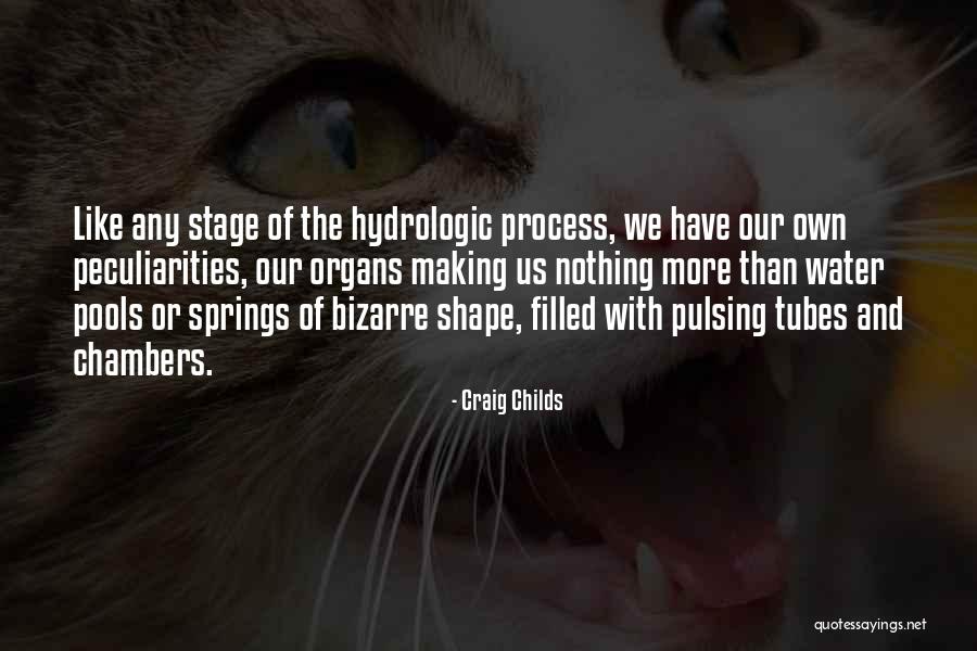 Peculiarities Quotes By Craig Childs Peculiarities Quotes By Craig Childs