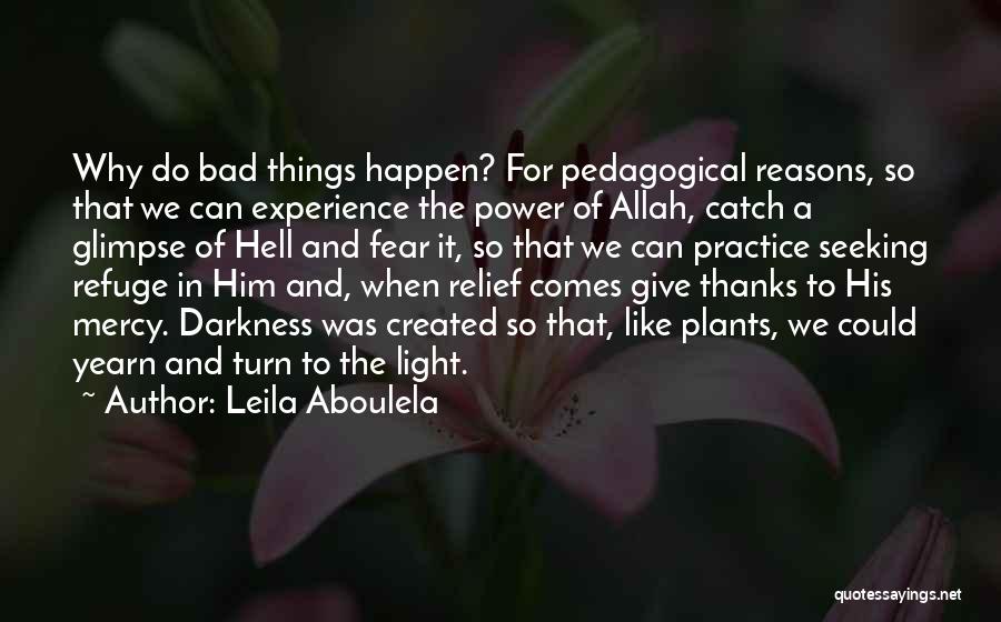 Pedagogical Quotes By Leila Aboulela