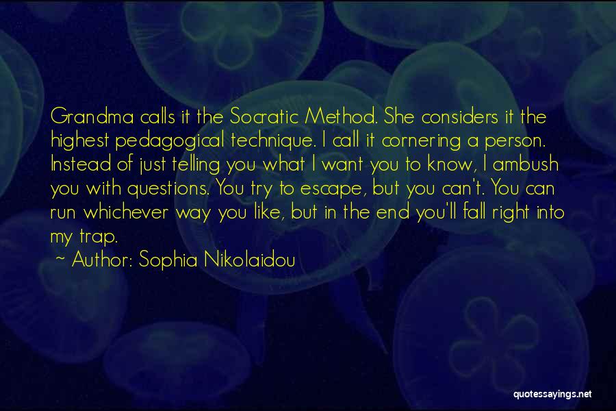 Pedagogical Quotes By Sophia Nikolaidou