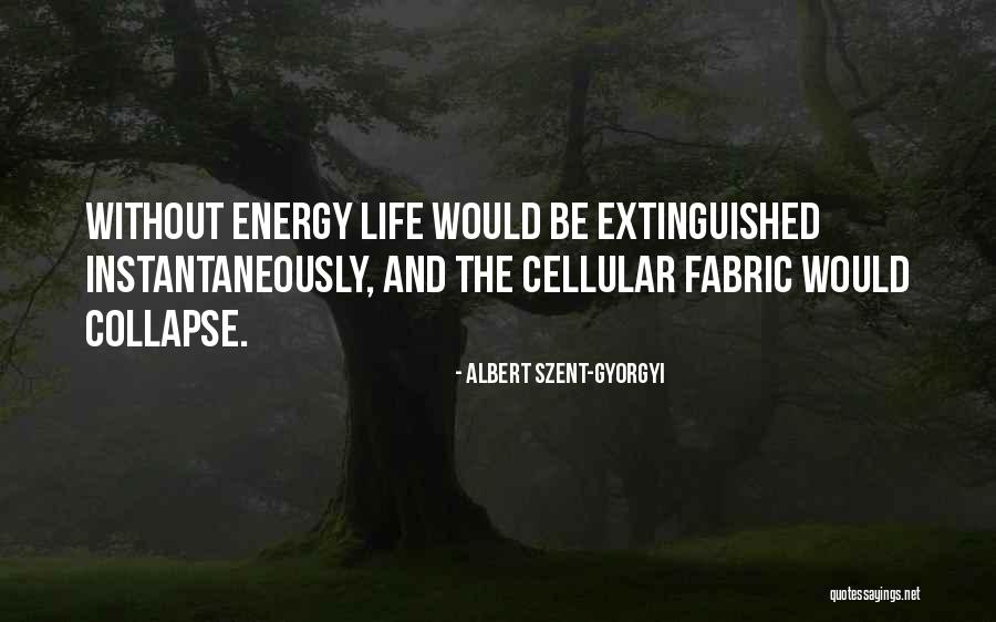 Pedalaman Afrika Quotes By Albert Szent-Gyorgyi Pedalaman Afrika Quotes By Albert Szent-Gyorgyi