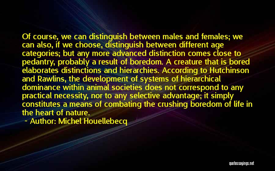 Pedantry Quotes By Michel Houellebecq