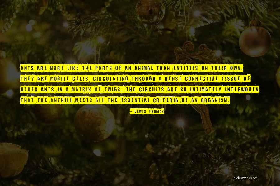 Pedemolenwandeling Quotes By Lewis Thomas Pedemolenwandeling Quotes By Lewis Thomas