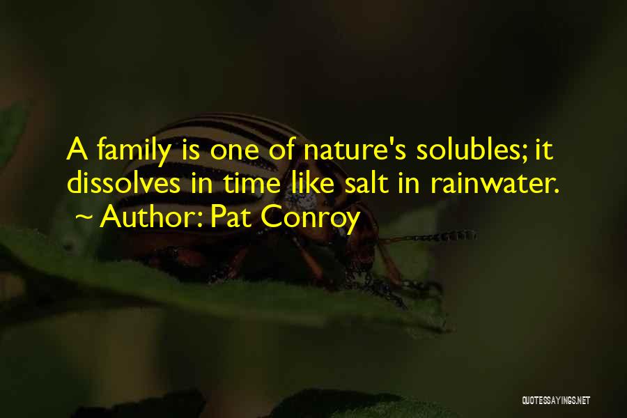 Pedestaled Quotes By Pat Conroy