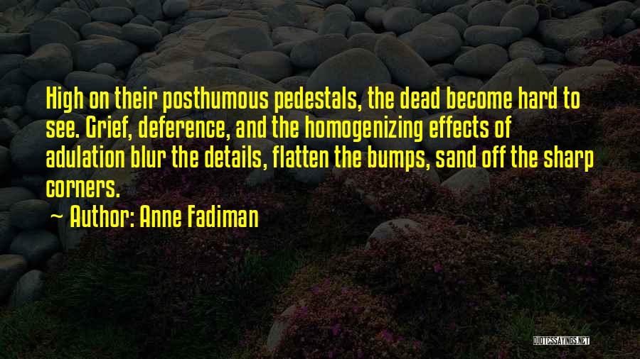 Pedestals Quotes By Anne Fadiman