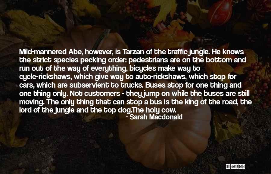 Pedestrians Quotes By Sarah Macdonald Pedestrians Quotes By Sarah Macdonald