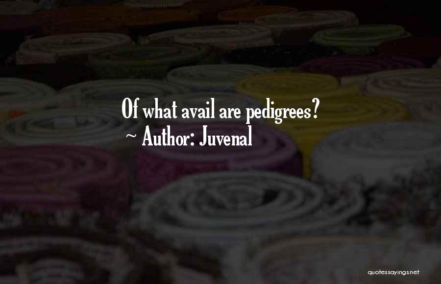 Pedigree Quotes By Juvenal