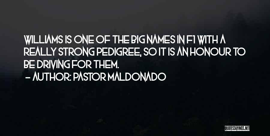 Pedigree Quotes By Pastor Maldonado