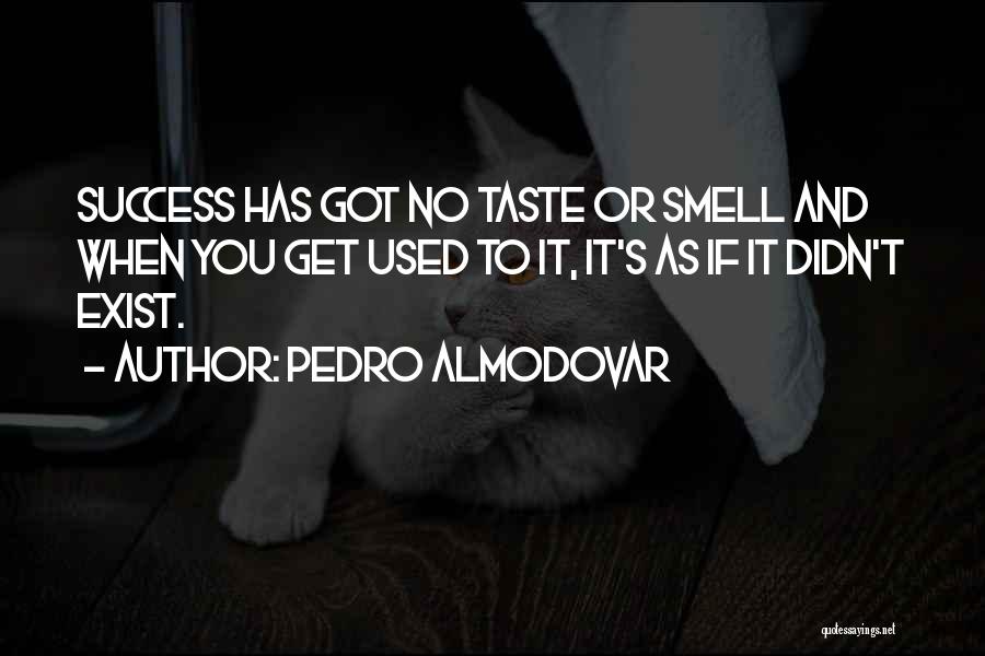 Pedro Almodovar Quotes 1024807