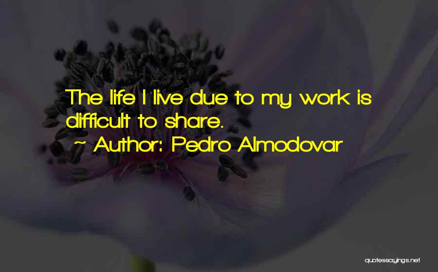 Pedro Almodovar Quotes 355126