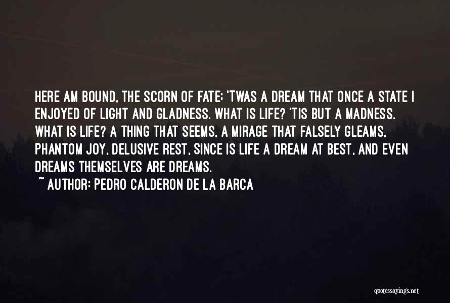 Pedro Calderon De La Barca Quotes 1111180