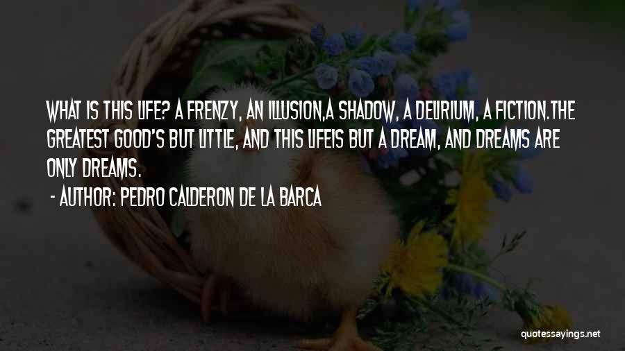 Pedro Calderon De La Barca Quotes 1201550