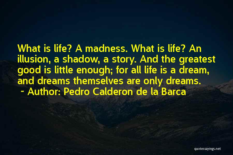 Pedro Calderon De La Barca Quotes 1324383