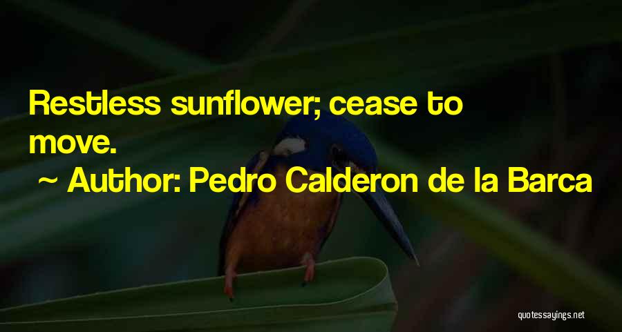 Pedro Calderon De La Barca Quotes 1406237