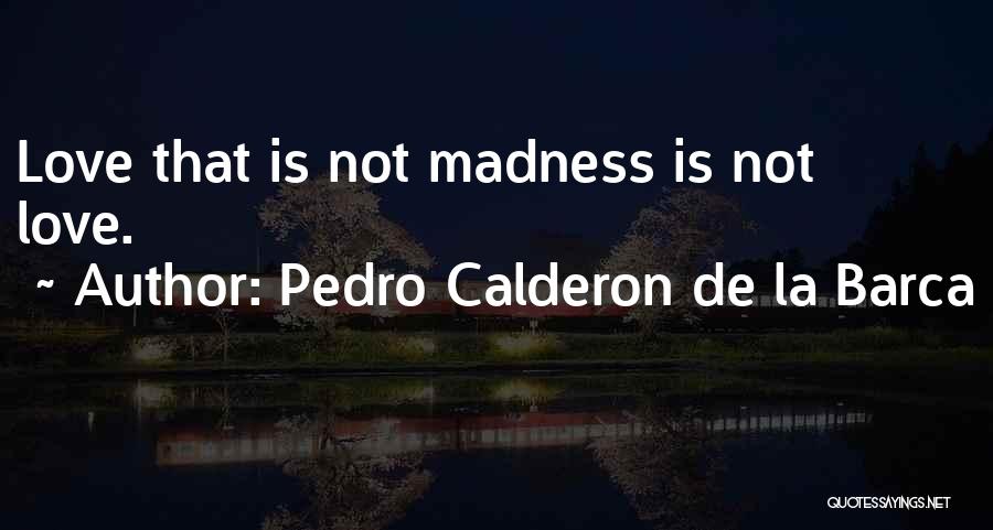 Pedro Calderon De La Barca Quotes 2170302