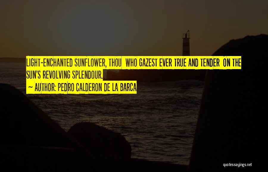 Pedro Calderon De La Barca Quotes 2180171