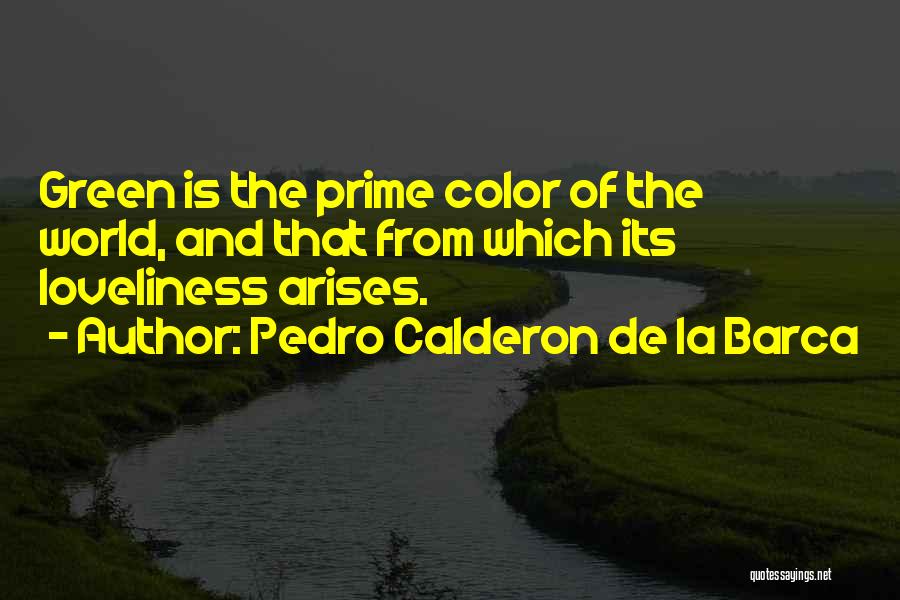 Pedro Calderon De La Barca Quotes 2199235