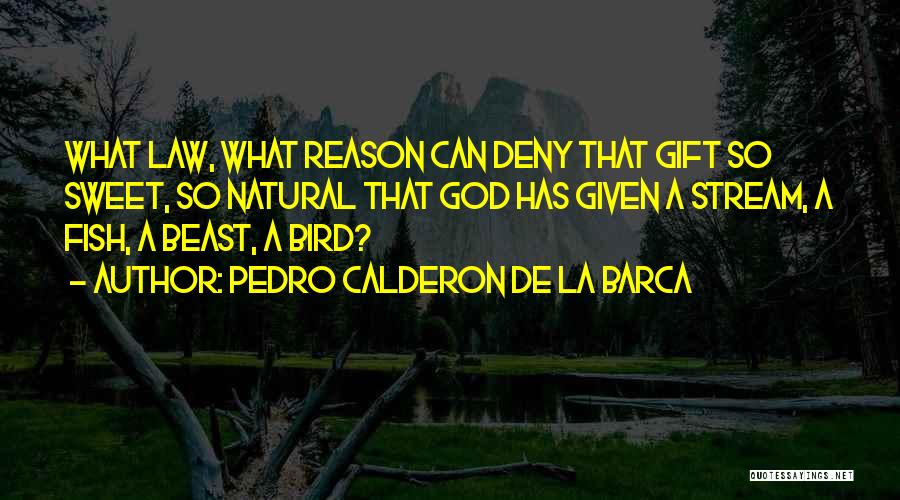 Pedro Calderon De La Barca Quotes 318001