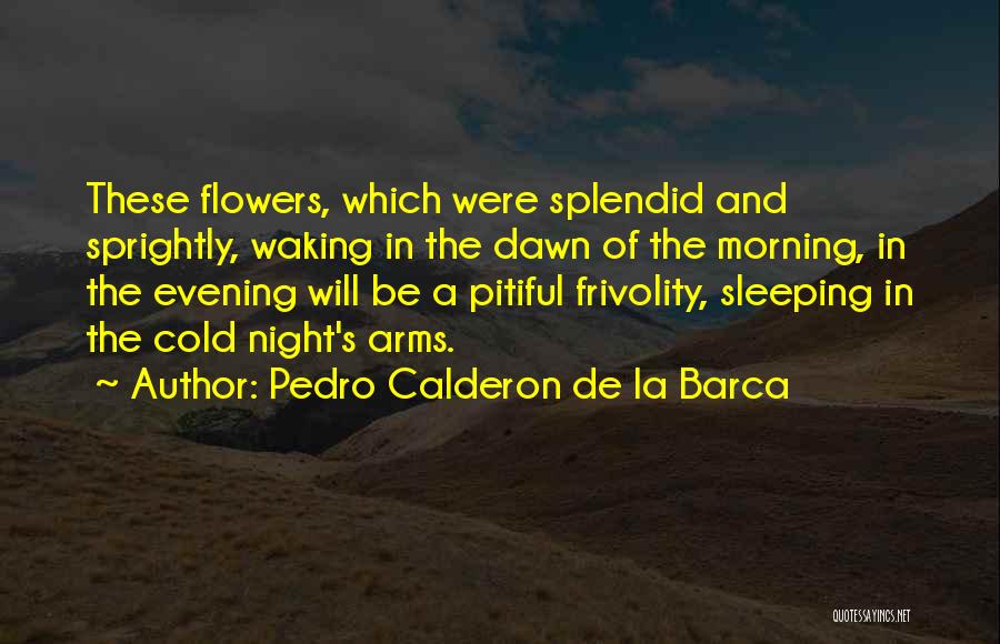 Pedro Calderon De La Barca Quotes 421909