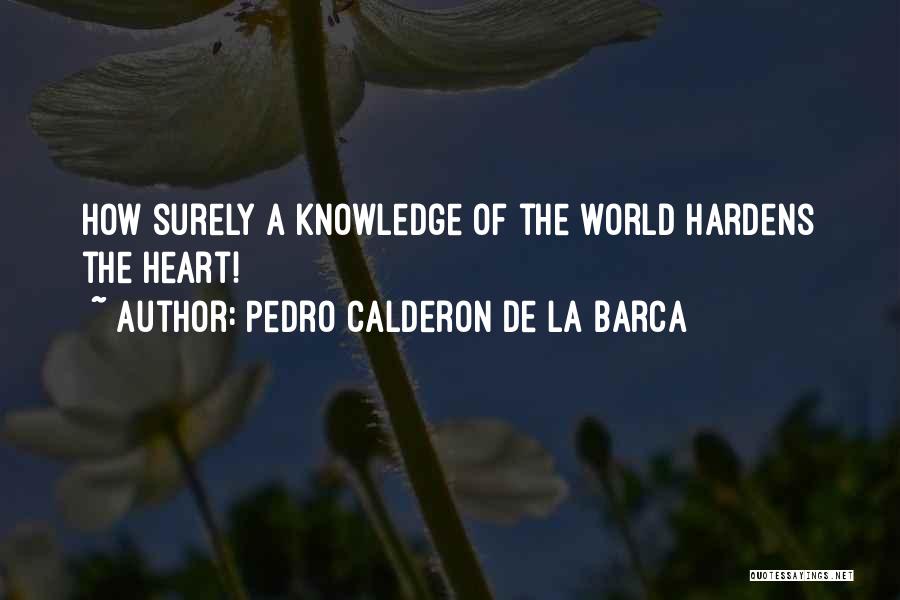 Pedro Calderon De La Barca Quotes 904114