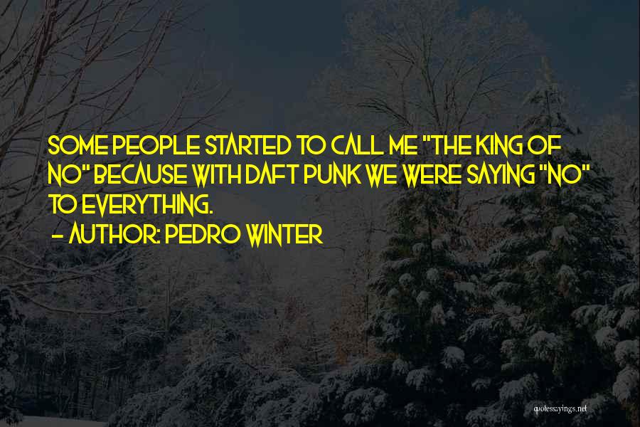 Pedro Winter Quotes 1313712