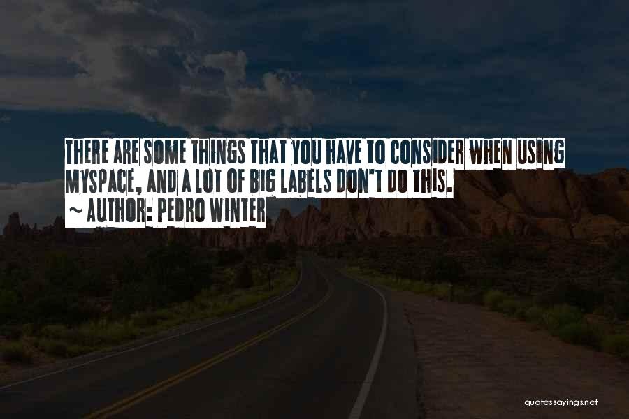 Pedro Winter Quotes 315051