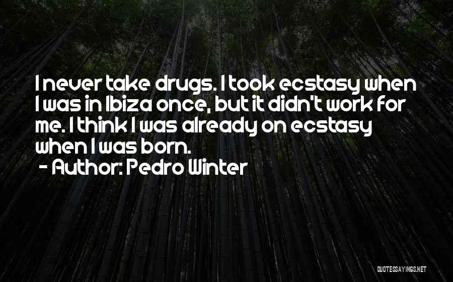 Pedro Winter Quotes 599369