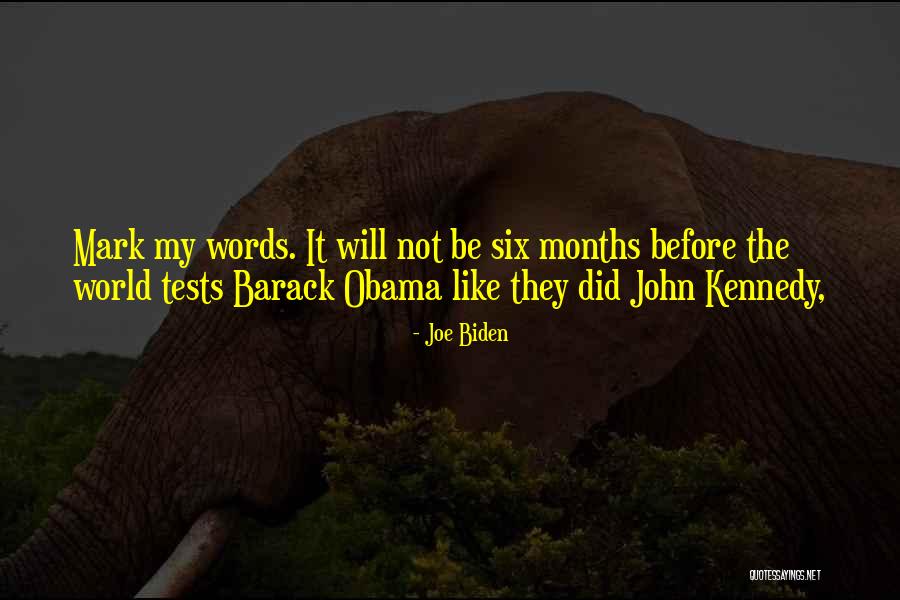 Pedrosoi Quotes By Joe Biden Pedrosoi Quotes By Joe Biden