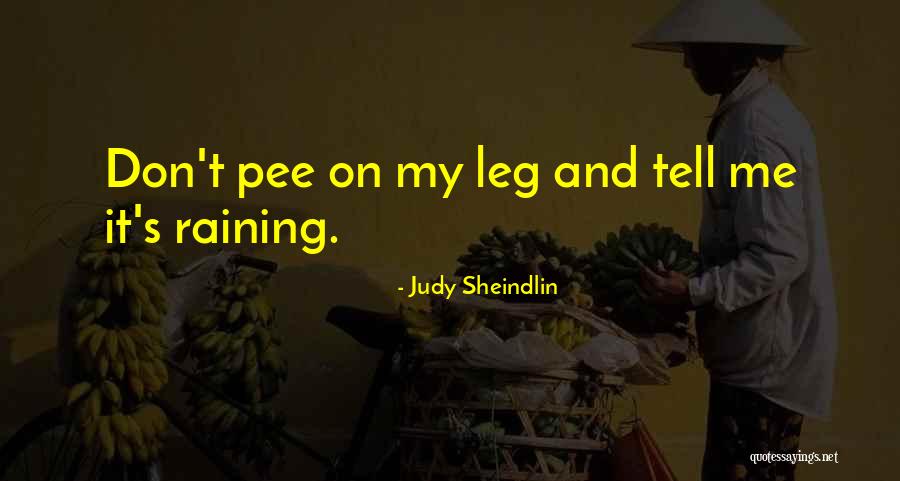 Pee Pee Quotes By Judy Sheindlin