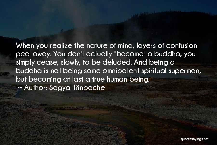 Peel Layers Quotes By Sogyal Rinpoche
