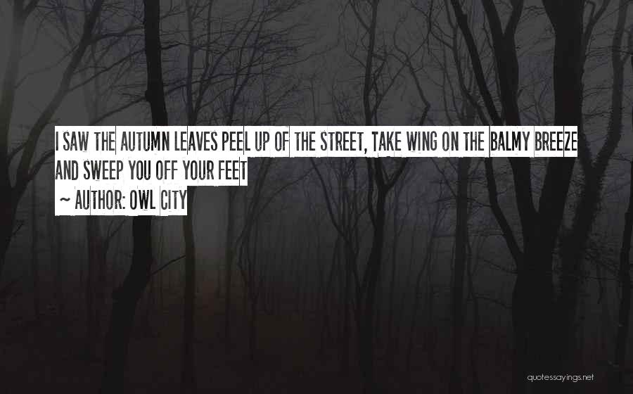 Peel Off Quotes By Owl City