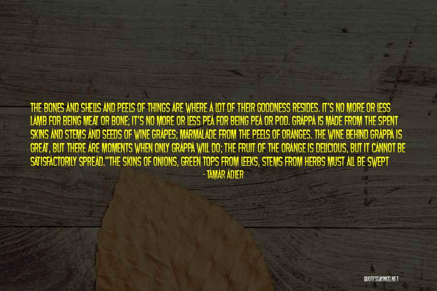 Peels Quotes By Tamar Adler Peels Quotes By Tamar Adler