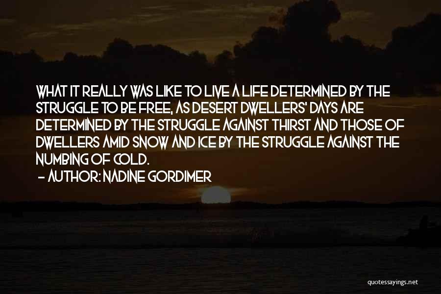 Peep Show Handyman Quotes By Nadine Gordimer