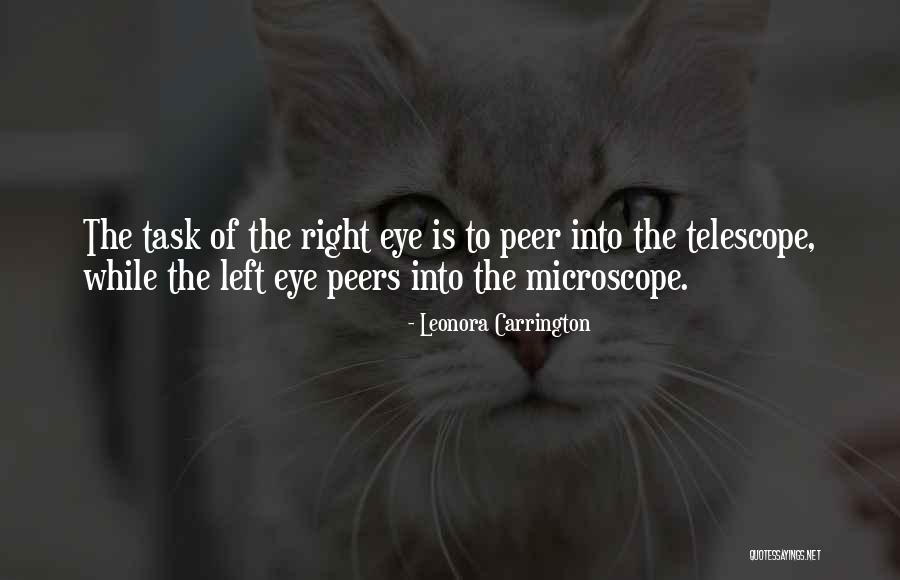 Peers Quotes By Leonora Carrington Peers Quotes By Leonora Carrington