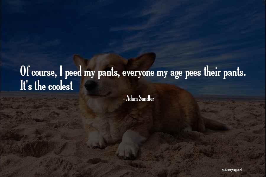 Pees Quotes By Adam Sandler Pees Quotes By Adam Sandler