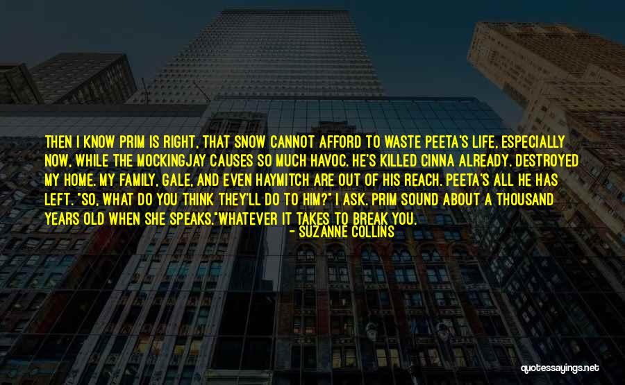 Peeta In Mockingjay Quotes By Suzanne Collins Peeta In Mockingjay Quotes By Suzanne Collins