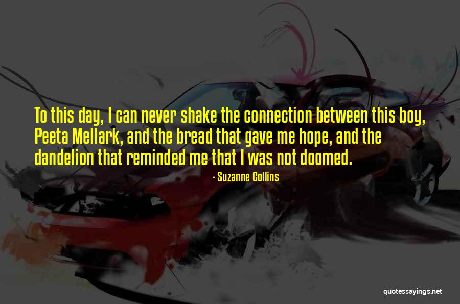 Peeta In The Hunger Games Quotes By Suzanne Collins Peeta In The Hunger Games Quotes By Suzanne Collins