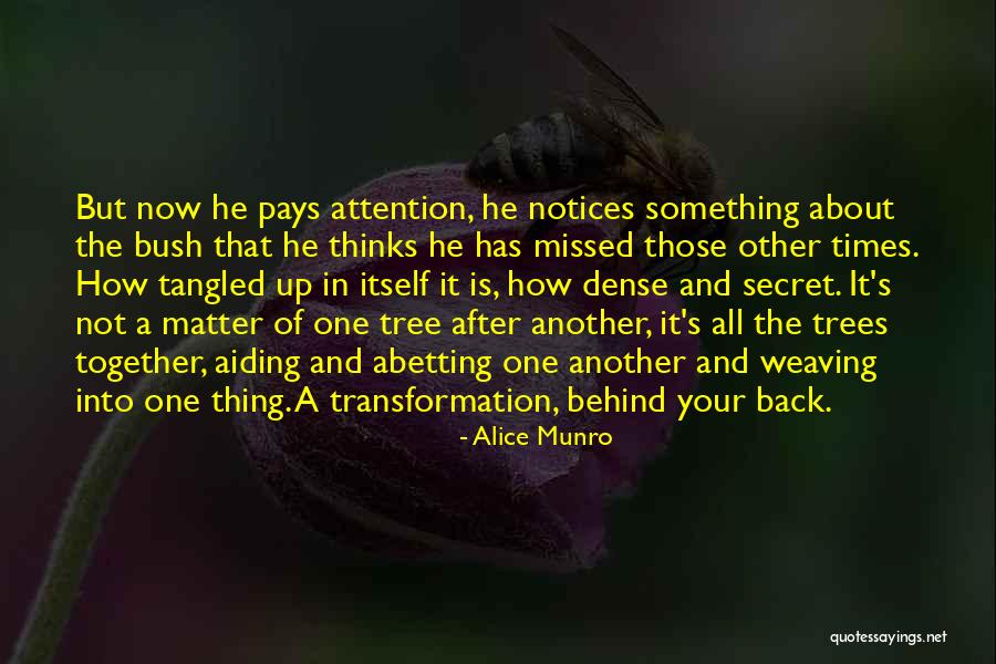 Peetee Quotes By Alice Munro Peetee Quotes By Alice Munro