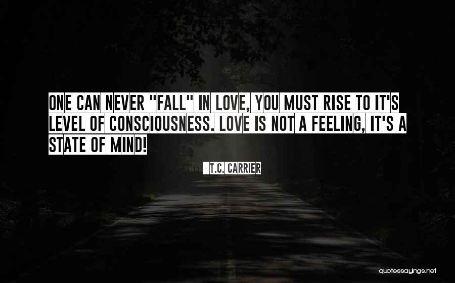 Pegangan Ahli Quotes By T.C. Carrier Pegangan Ahli Quotes By T.C. Carrier