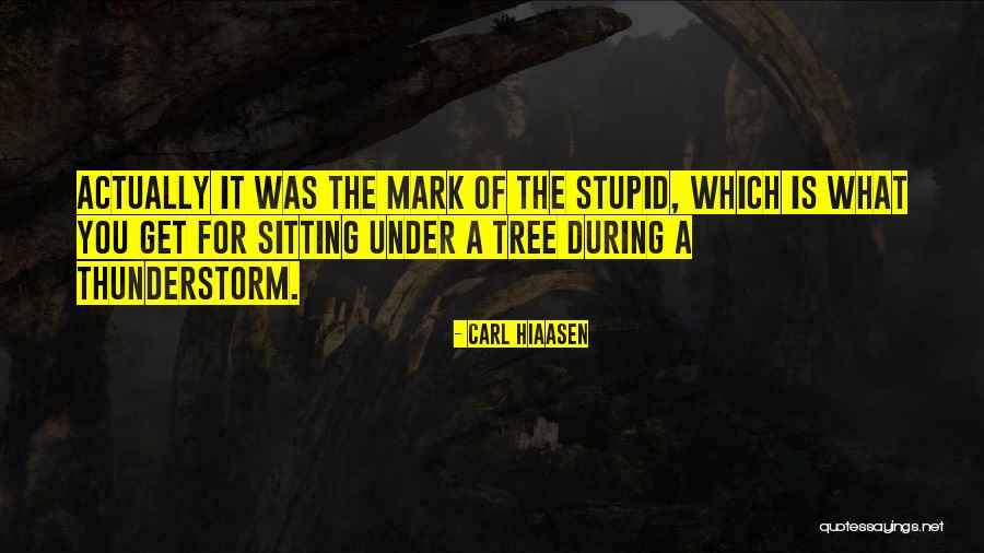 Pegangan Tangga Quotes By Carl Hiaasen Pegangan Tangga Quotes By Carl Hiaasen