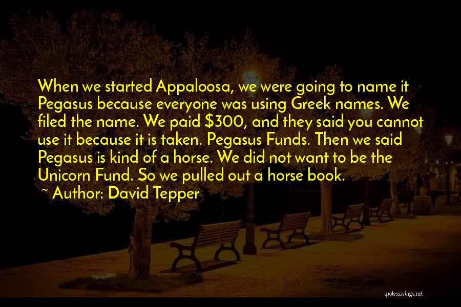 Pegasus Horse Quotes By David Tepper