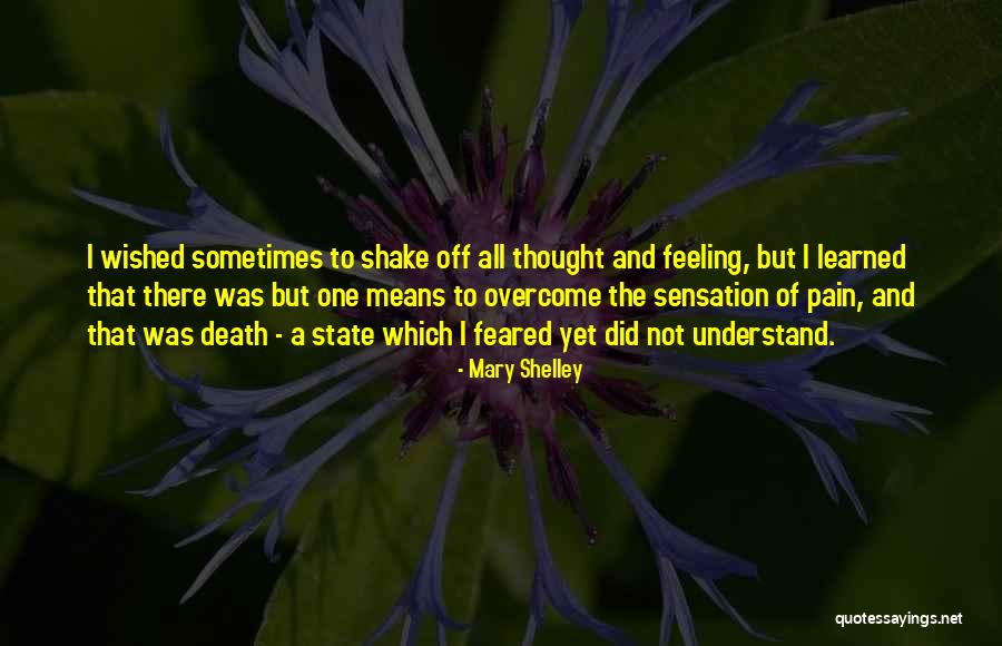 Peggle Quotes By Mary Shelley Peggle Quotes By Mary Shelley