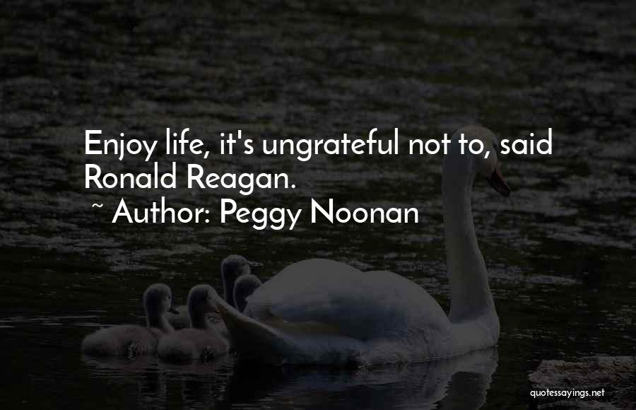 Peggy Noonan Quotes 1403525