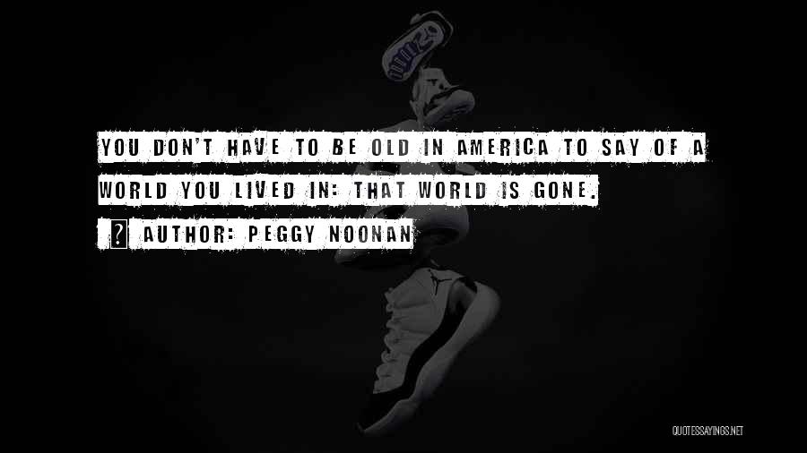 Peggy Noonan Quotes 158193