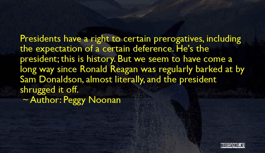 Peggy Noonan Quotes 1920296