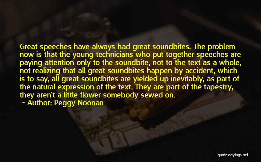 Peggy Noonan Quotes 2115492