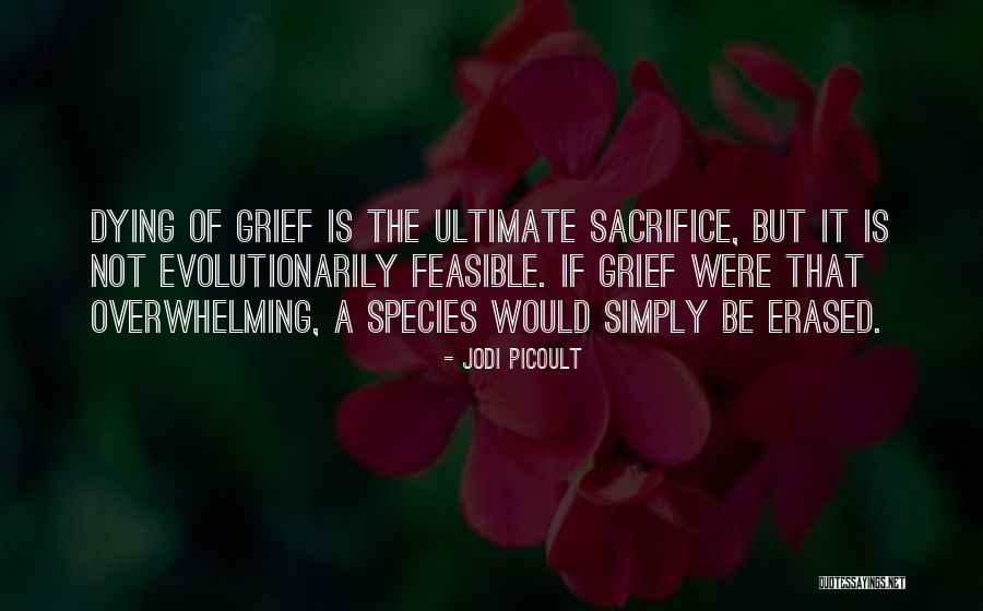 Pegoraro Tanks Quotes By Jodi Picoult Pegoraro Tanks Quotes By Jodi Picoult